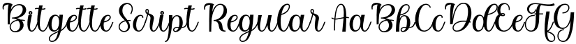 Bitgette Script font download