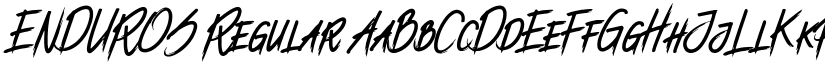 ENDUROS Regular font