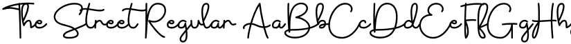 The Street Regular font