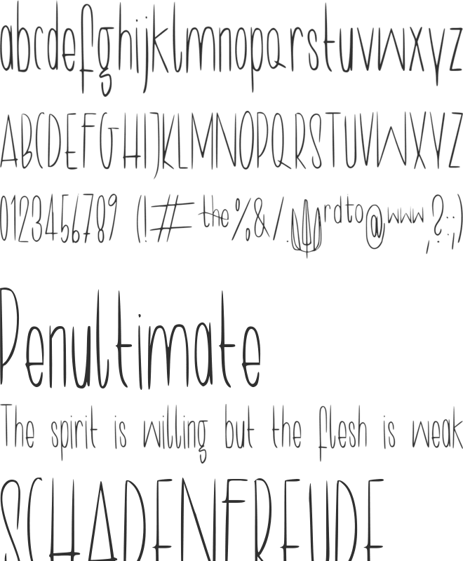 Longy font preview