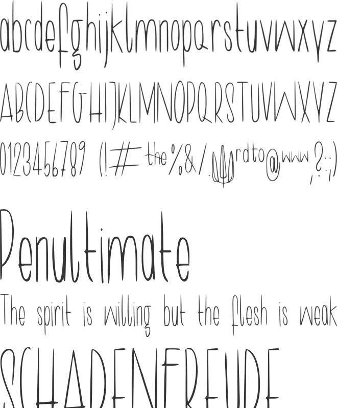 Longy font preview