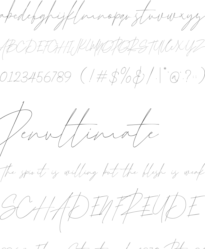 Arabilla Signature font preview