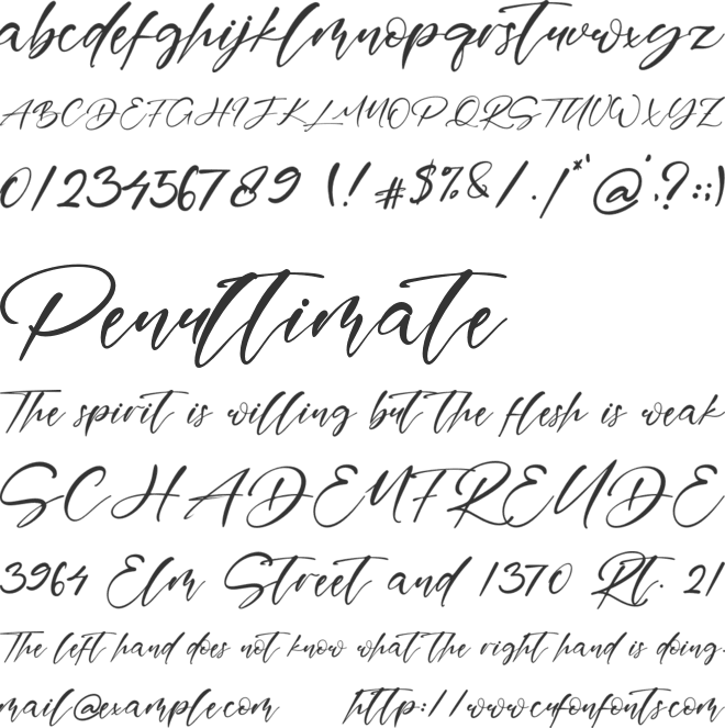 Maverick font preview