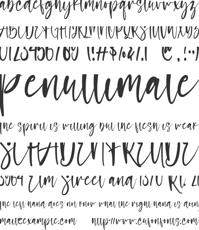 sasa font preview
