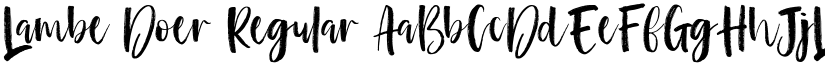 Lambe Doer Regular font