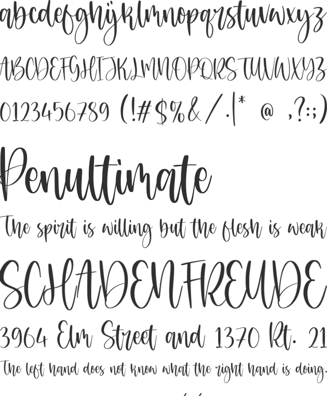 Maledictus font preview