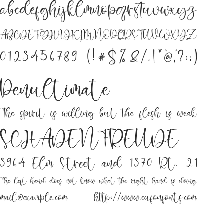 Robinette font preview