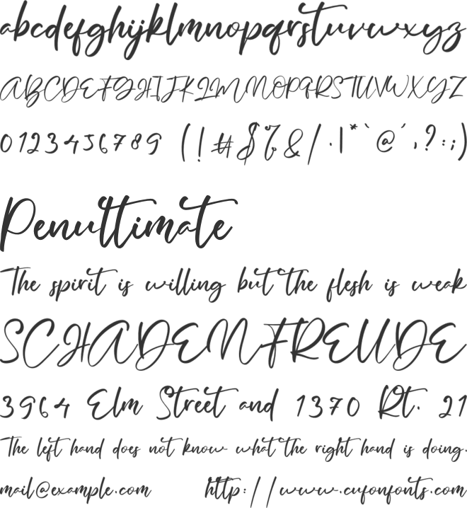 Guadalupe font preview