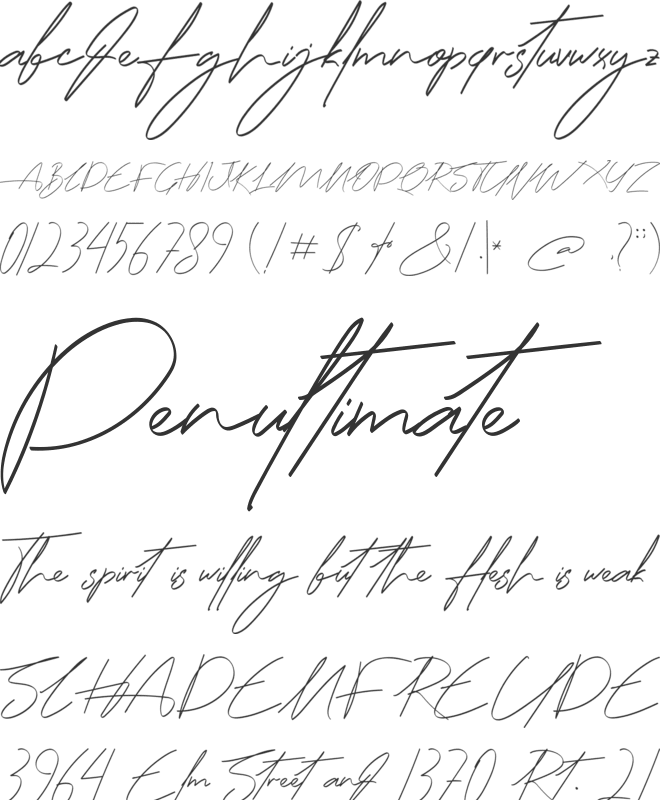 Janifera font preview