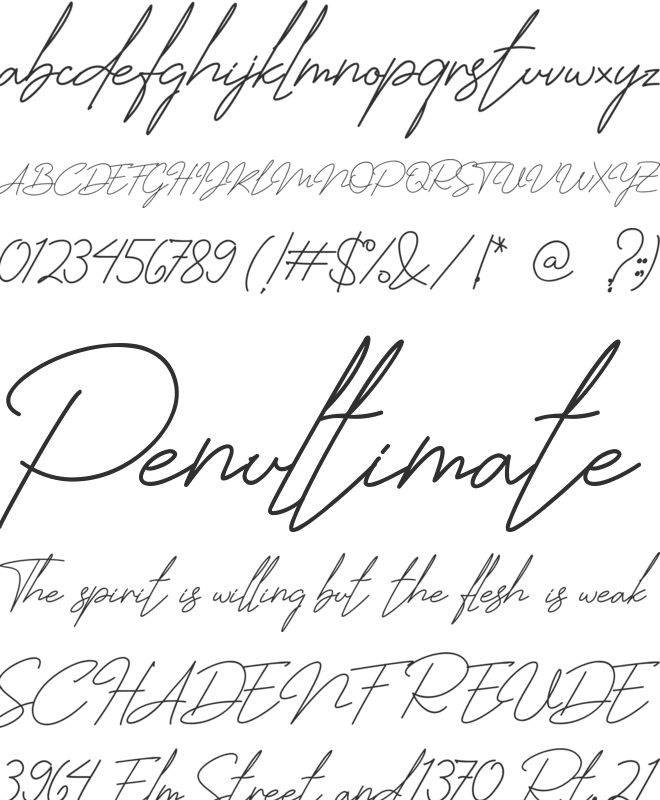 Jhenyta Signature font preview