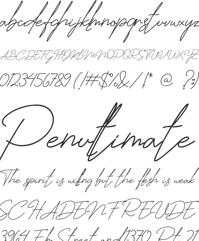 Jhenyta Signature font preview