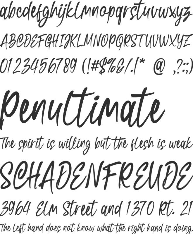 Swishine font preview