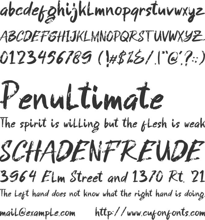 GASTRAX Brush Font font preview