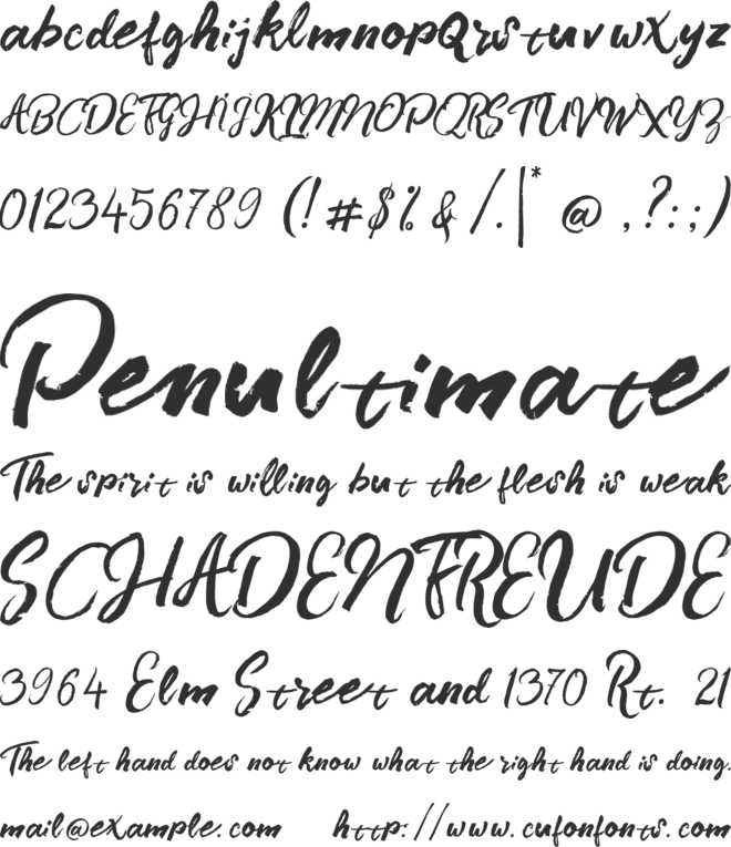 Branded font preview
