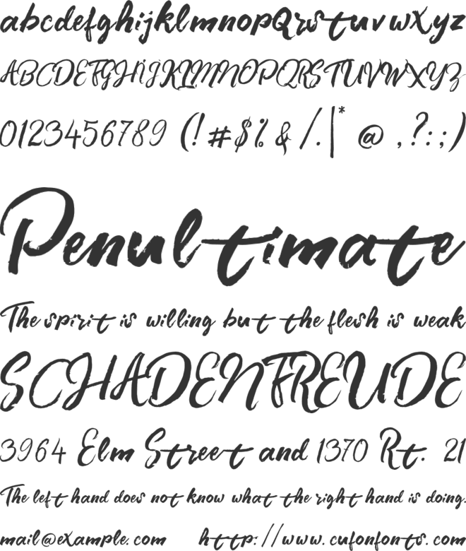 Branded font preview