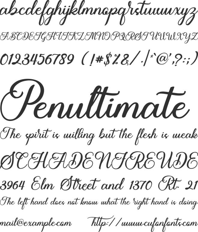 The Twelie font preview