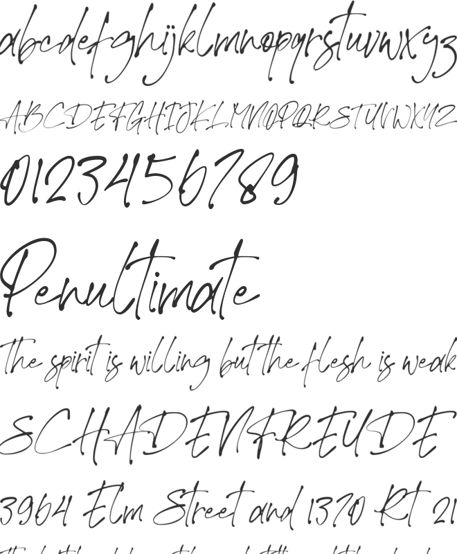 Theory Of Signature font preview