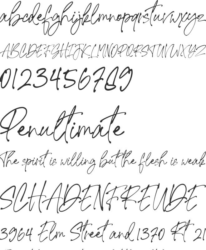 Signature United font preview