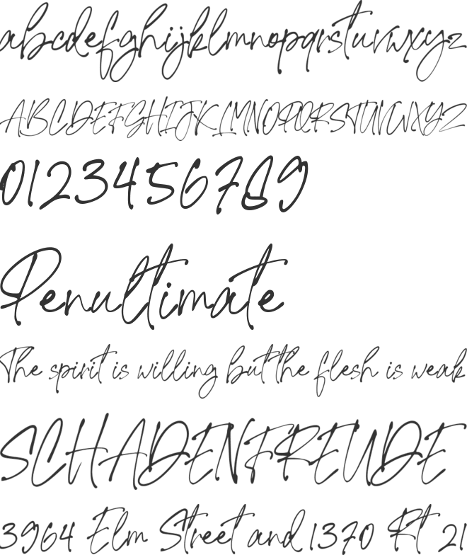 Signature United font preview