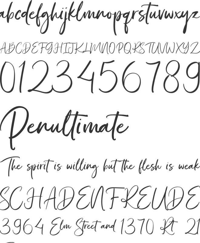 Bonjour Sydney font preview