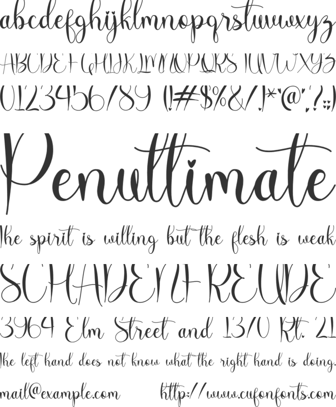 molly willy font preview