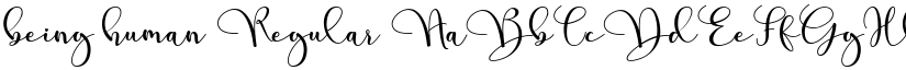 being human Regular font