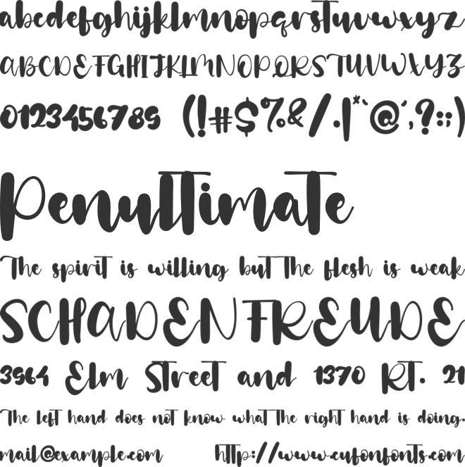 Olivia Megan font preview