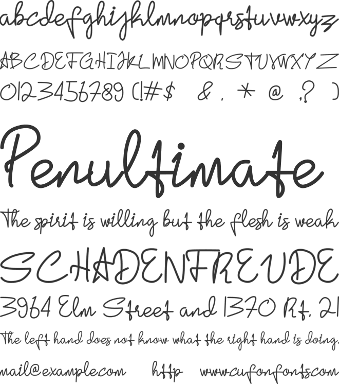 America font preview