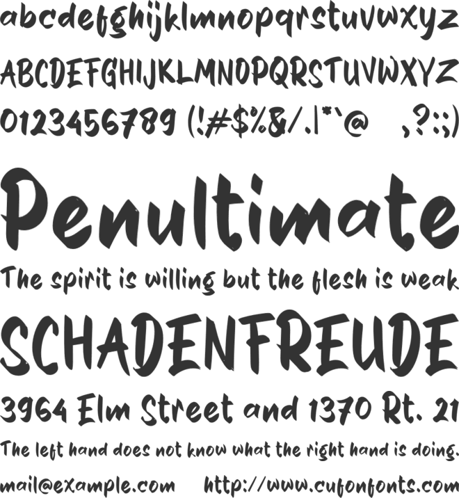 b Bapak Polisi font preview