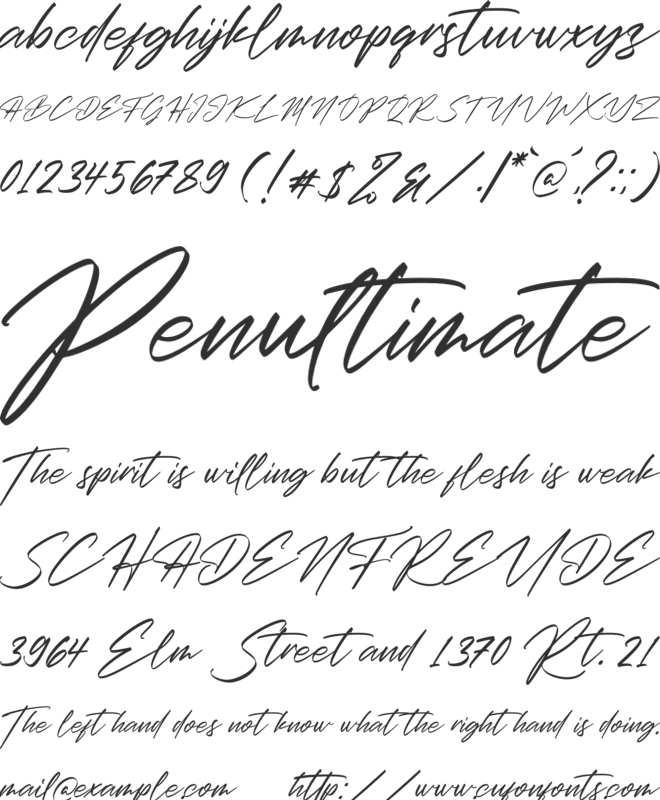 Christopher Signature font preview