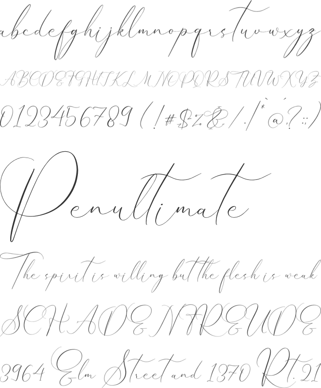 Pattricia Michella font preview