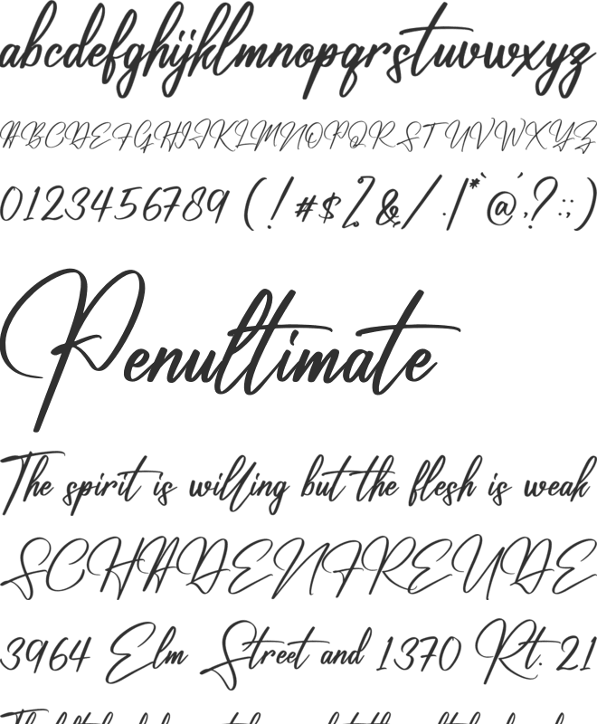 Renatta Signature font preview