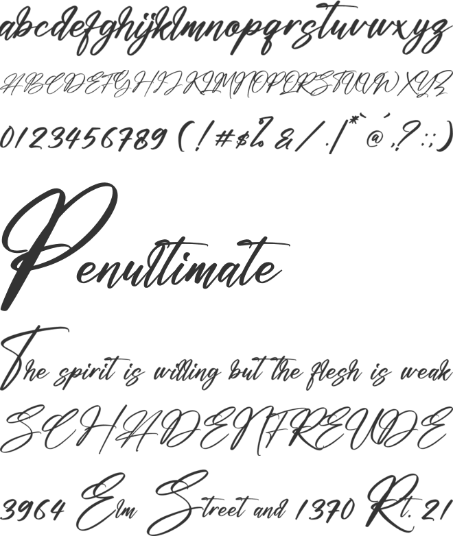 Amsterdam Billionaire font preview