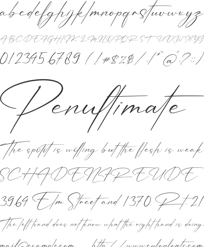 Patricia Signature font preview