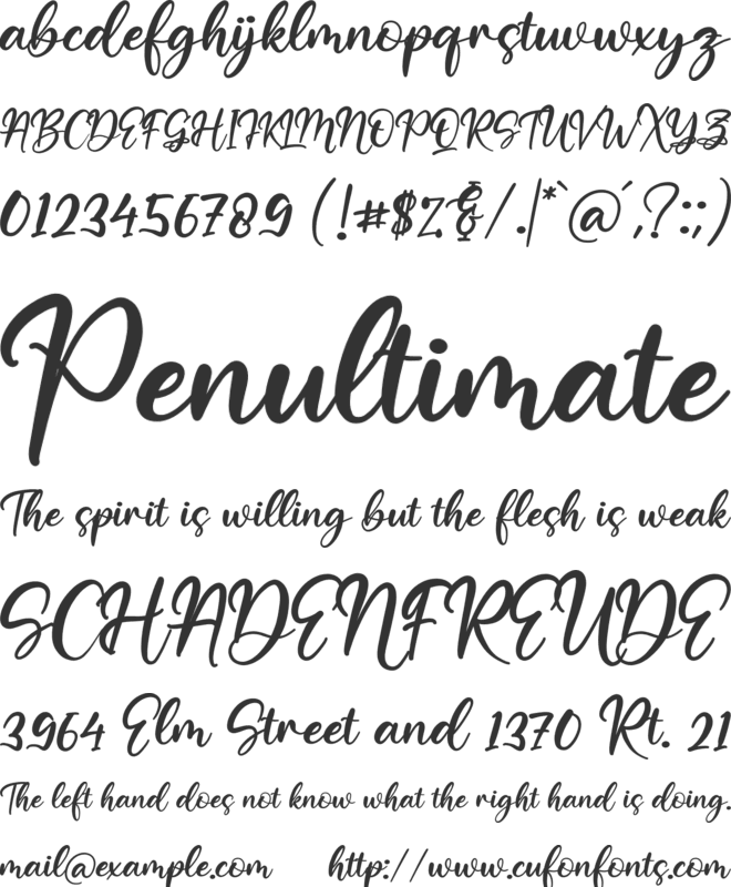 Barfield Lady font preview