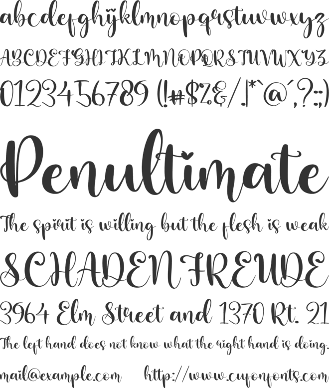 Barbara Lattvia font preview