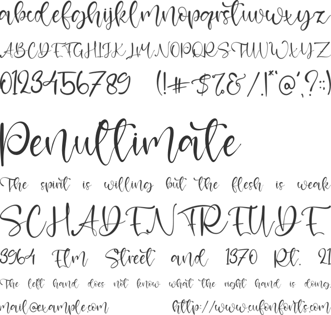 Mackenzie font preview