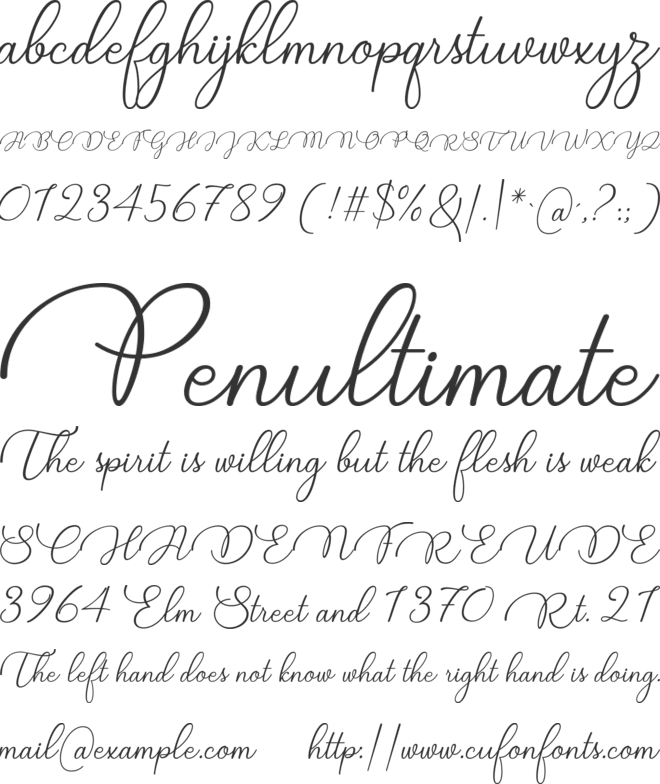 Candire font preview