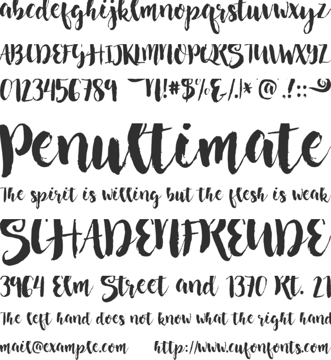 Nightingale font preview