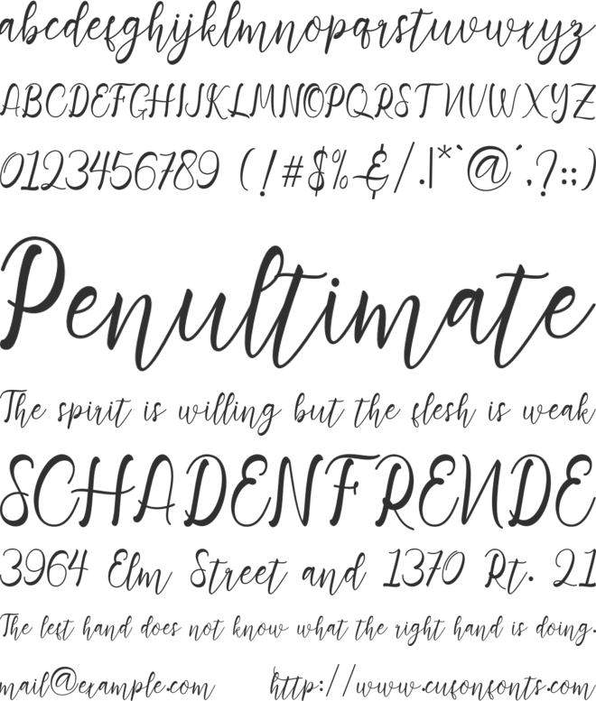 Adiescode font preview