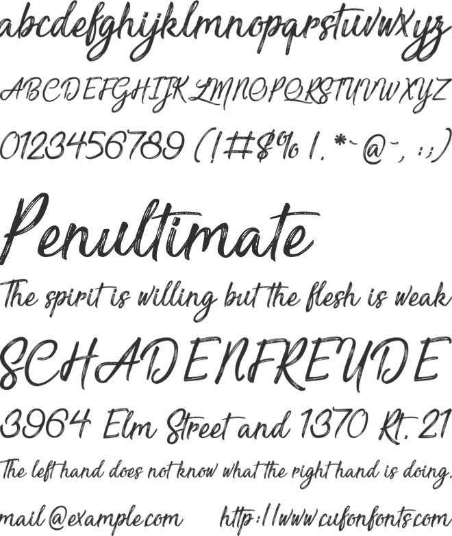 Sensations and Qualities font preview