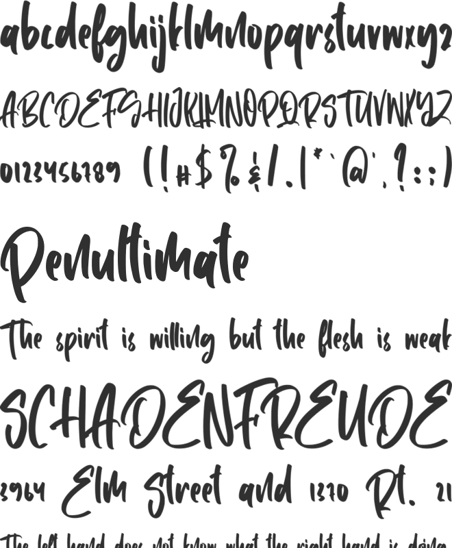Shohibul font preview