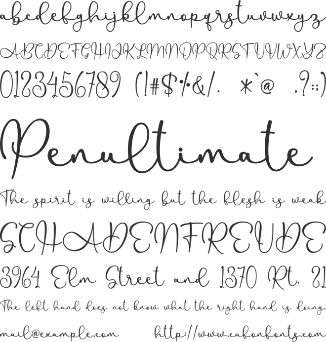 Allenisa - Personal Use font preview