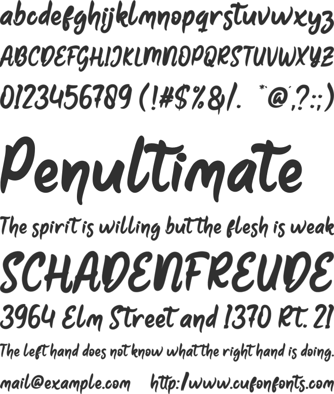 Rykes font preview