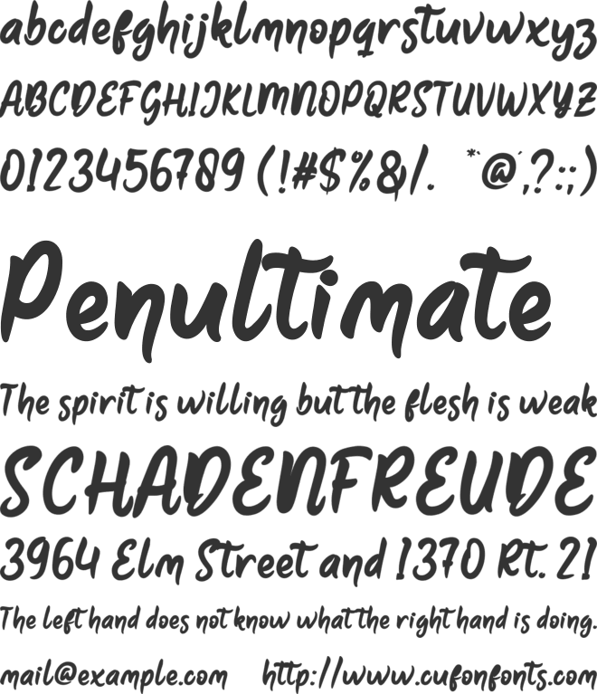 Rykes font preview