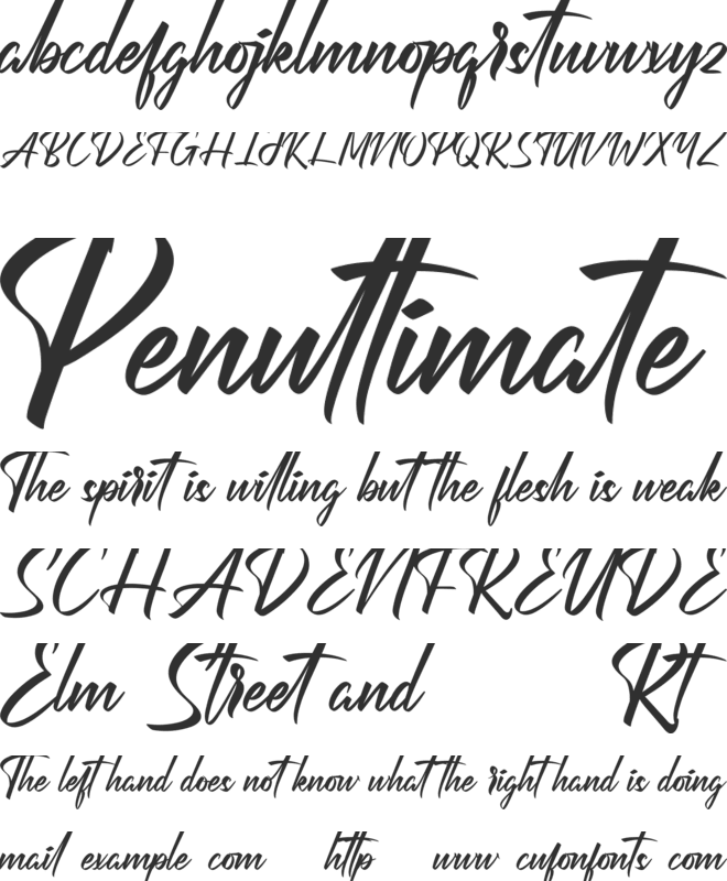Perfection Demo font preview