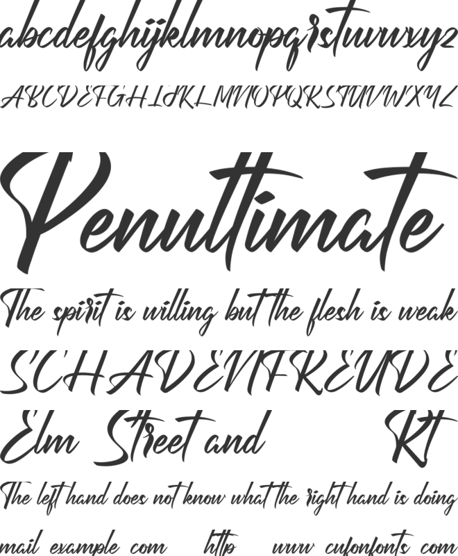 Perfection Demo font preview