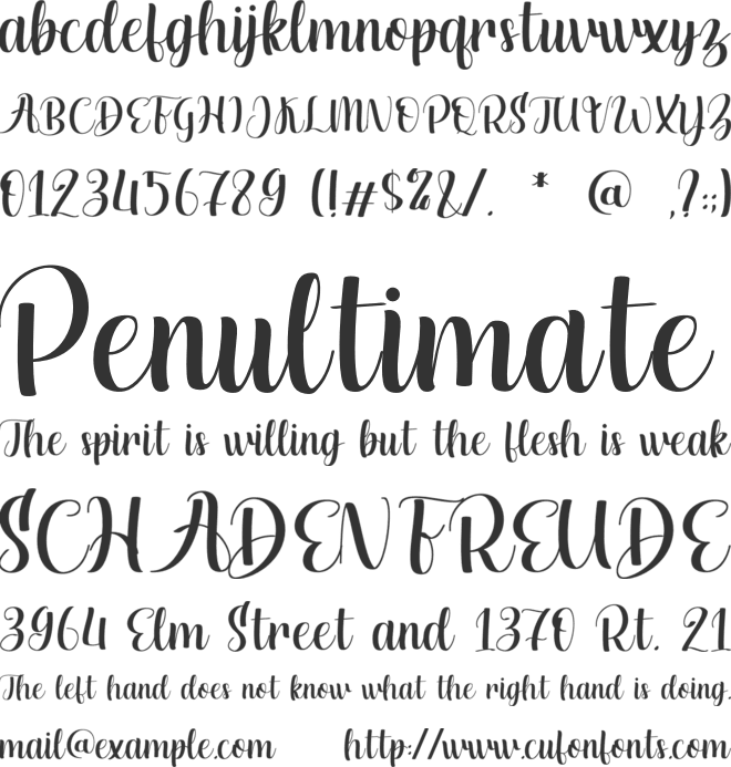 Davynci font preview