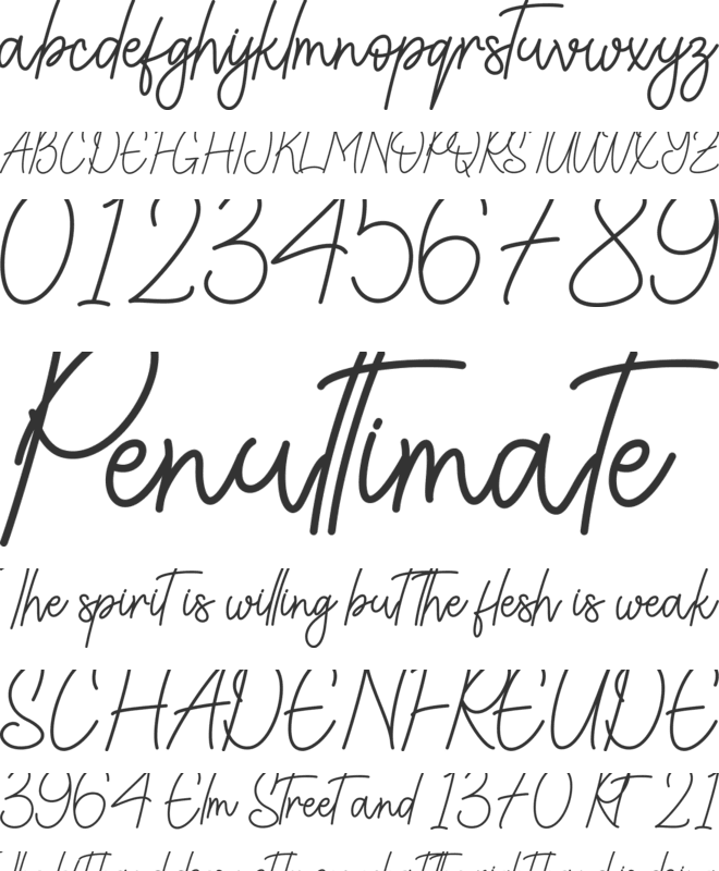 Nolita Script - Perosnal Use font preview