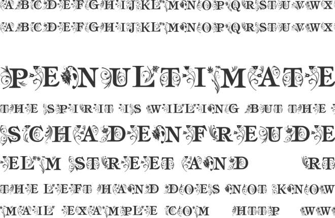am_intex font preview